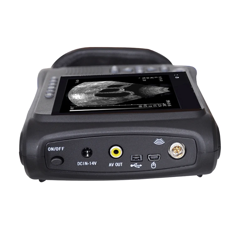 Ultrasound Vet Ultrasound Machine Portable Vet Blind Zone ≤8mm Portable Ultrasound Scan For Vet