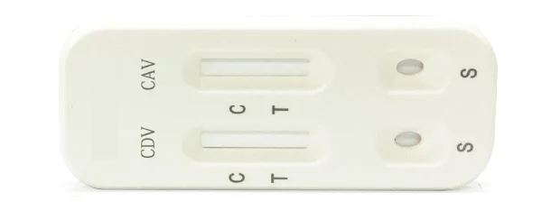 Hot Sale CDV/CAV Ag Canine Distemper/Adenovirus Antigen Rapid Pet Test Kit