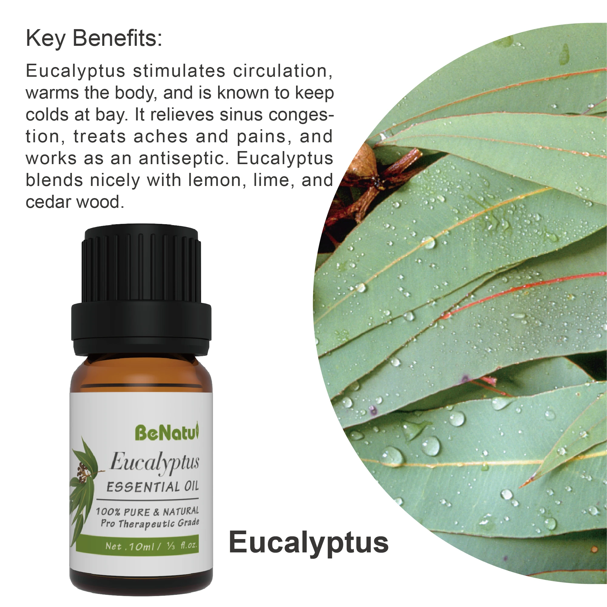 Benatu Trio of Essential Oils (Lavneder/Tea Tree/Eucalyptus) 3*10ML LOW MOQ BEST CHOICE FOR TESTING MARKETS