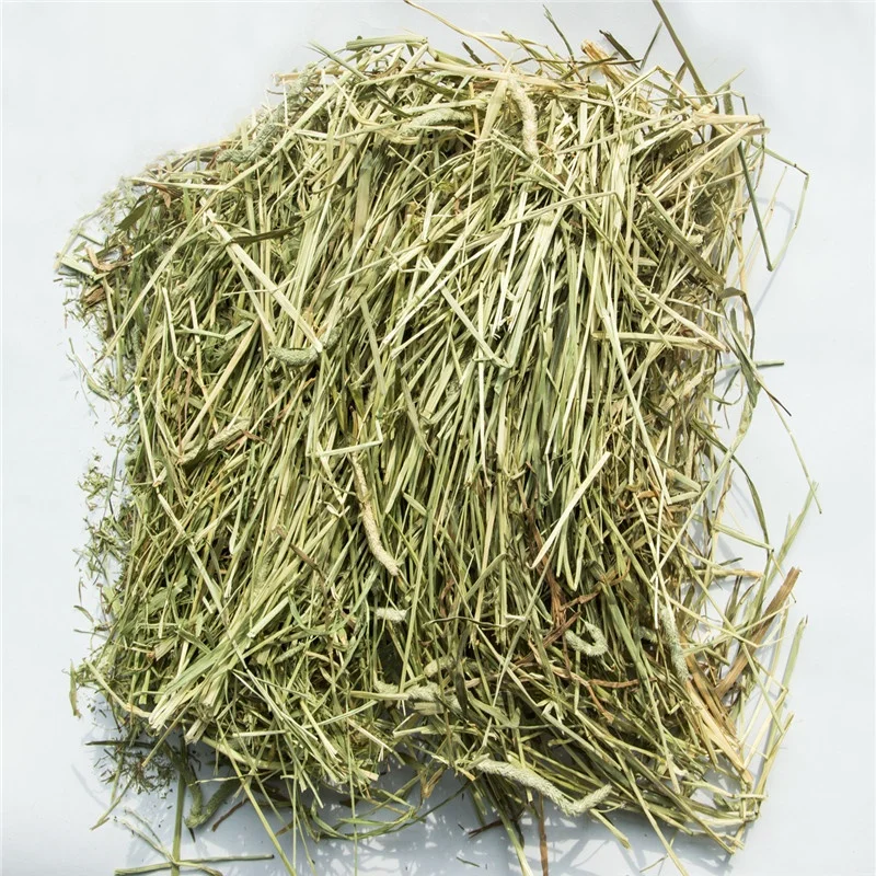 
Best American Timothy for Animal Feeding Horse Dairy Pets 