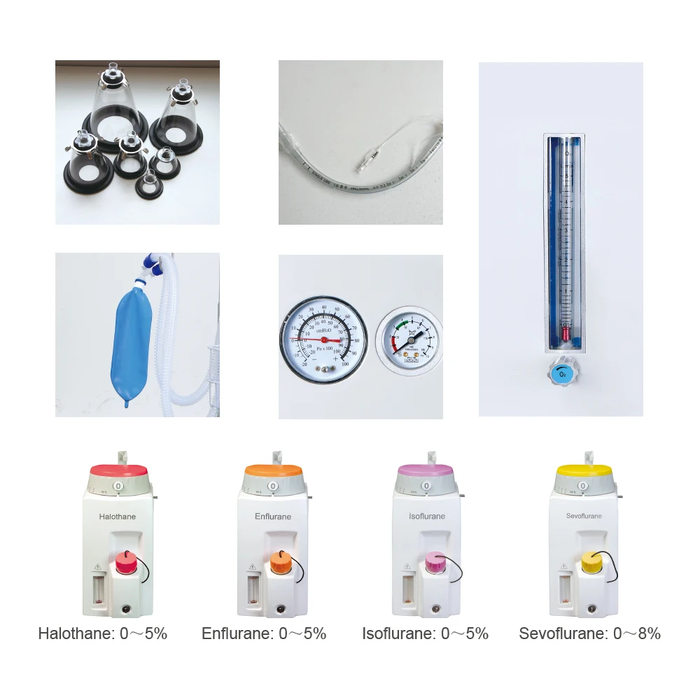 Superstar China Factory Supply ISO DM6C Portable Vet Anesthesia Machine With One Vaporizers For Animals Used in Clinics