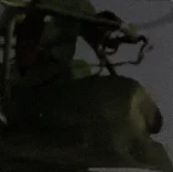 2022 Home Decorative Laser Cut Room Metal Divider Stamped 3D Decorative Stainless Steel Wall Panels