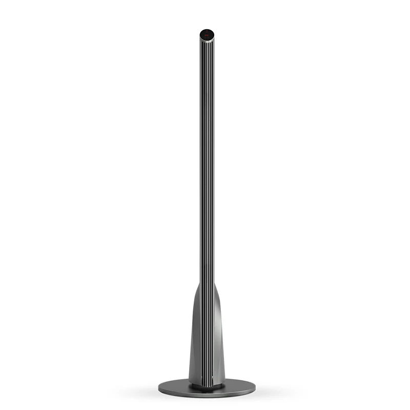 
High Power Ceramic Heater Two Use Electric Indoor Room Heater Machine Kerosene Electric Heater 2500W 