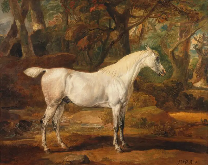 High quality Animal Horses Pattern Printed Canvas Pictures Artwork hand drawn oil painting