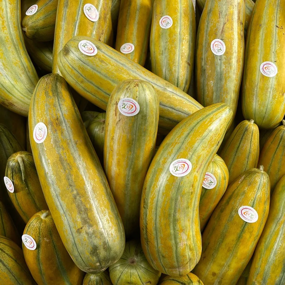 Лидер продаж продукты оптом свежий Honeydew премиум класса сертификация ISO в форме капсулы Кобра