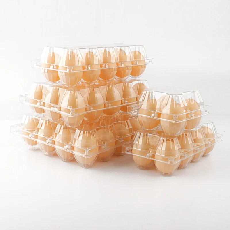 Hard plastic egg container low MOQ egg trays  manufacturer egg tray for sell