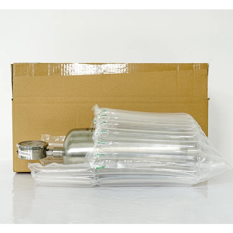 SUS304 Chemical Metering Pump Pulsation Damper Air Chamber Pulse Damper Pump With Pressure Gauge Damper For Dosing Pump