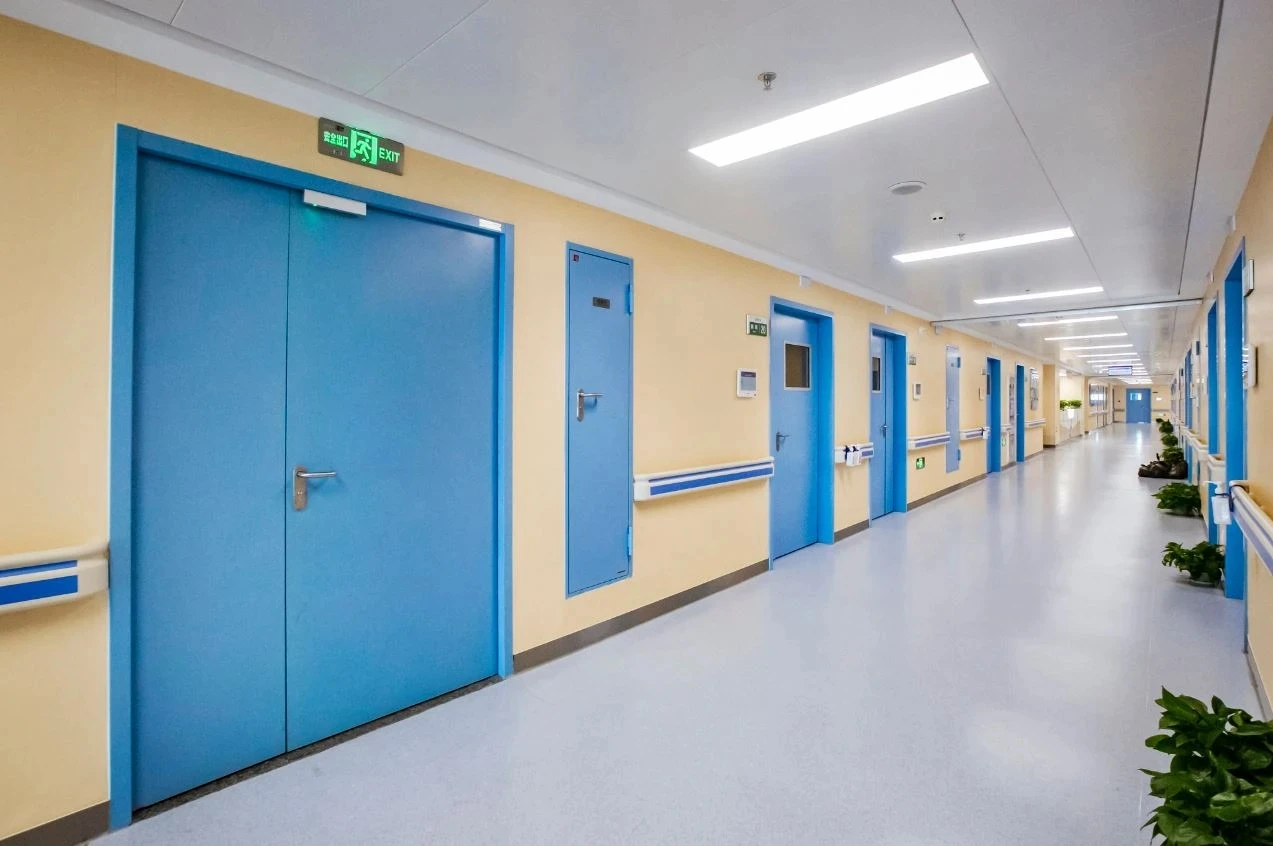 China Supplier Manufacturers Low Pricesexplosion-proof motor Double Security expolsion-proof Steel Door