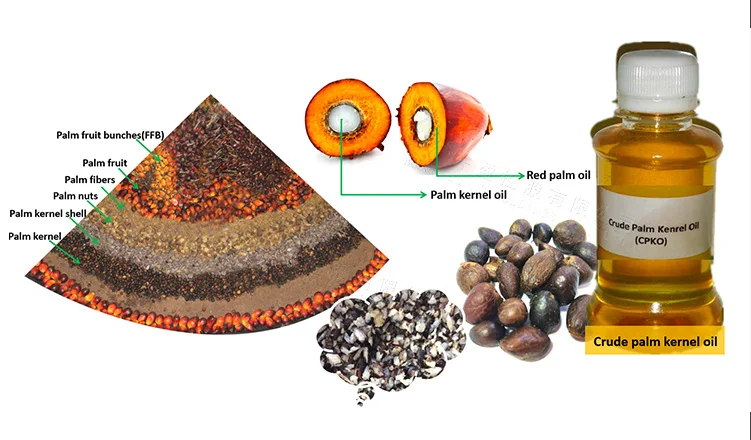 advanced technology  palm kernel oil making machine