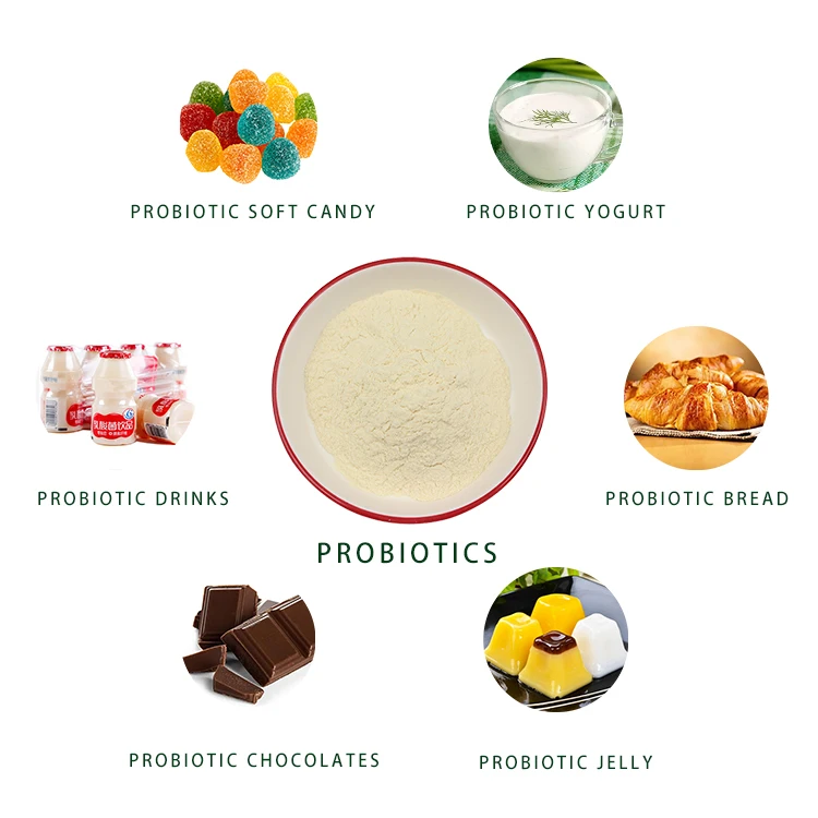 Wholesale Factory Price Best Probiotic Powder Lactobacillus Fermentum