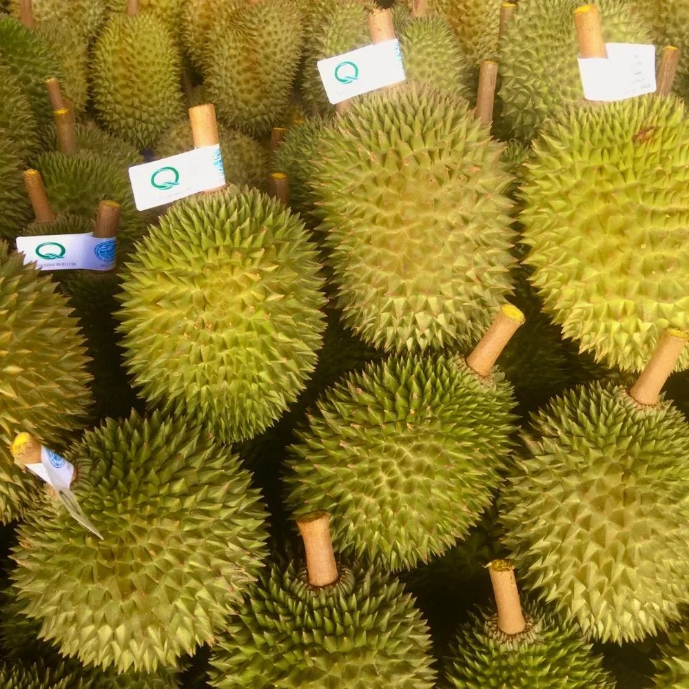 
Premium Quality Kan Yao from Thailand Fresh Durian Fruits Product 