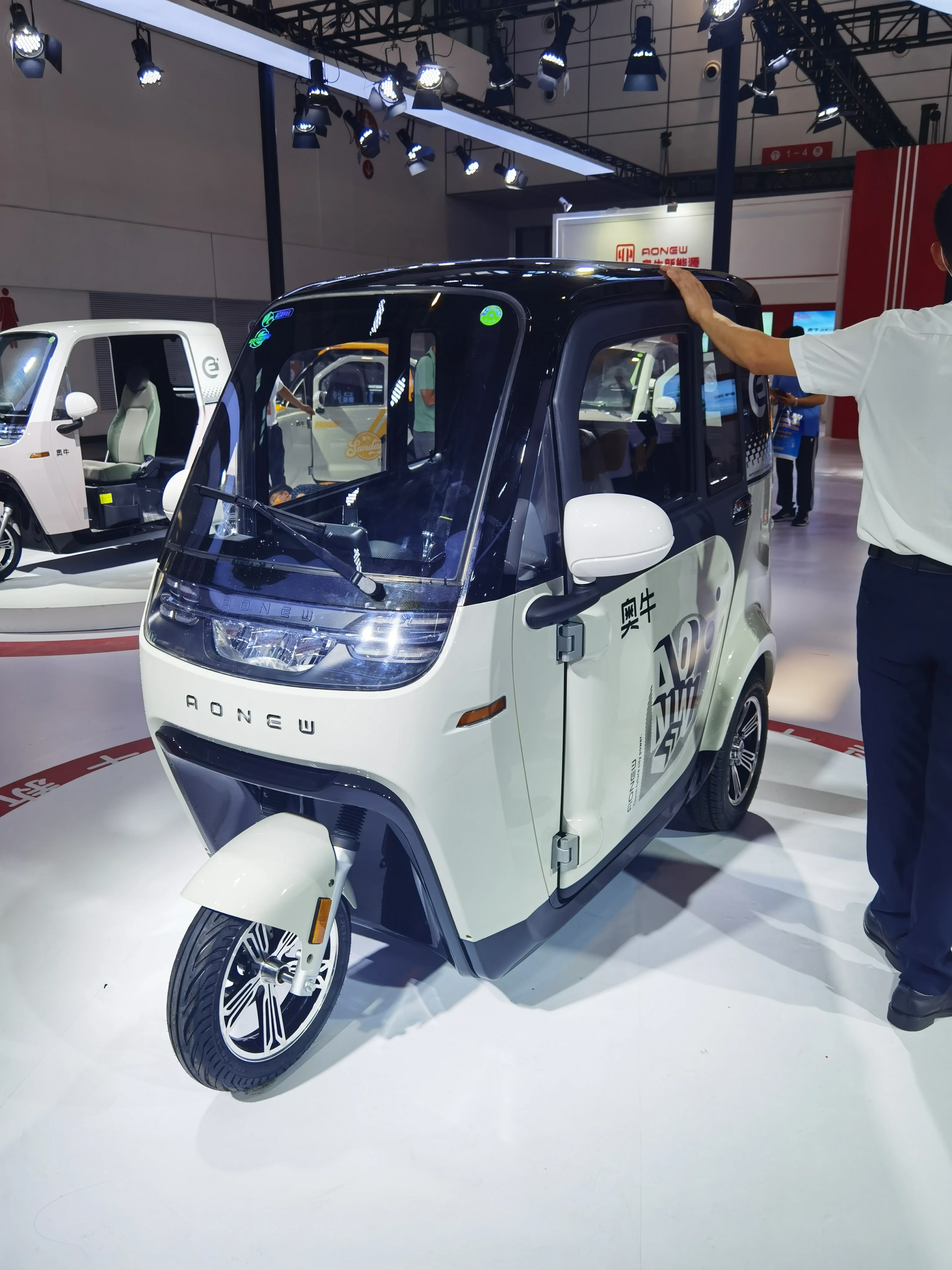 Chinese Manufacturer Fully Enclosed Strong Power 3 Wheel  Fully Enclosed Electric Tricycle For Delivery scooter