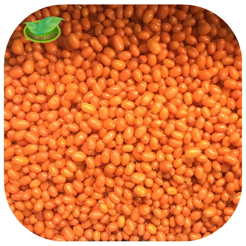 IQF fresh frozen wild sea buckthorn first class sea-buckthorn lingonberry raspberry, blueberry mixed berries
