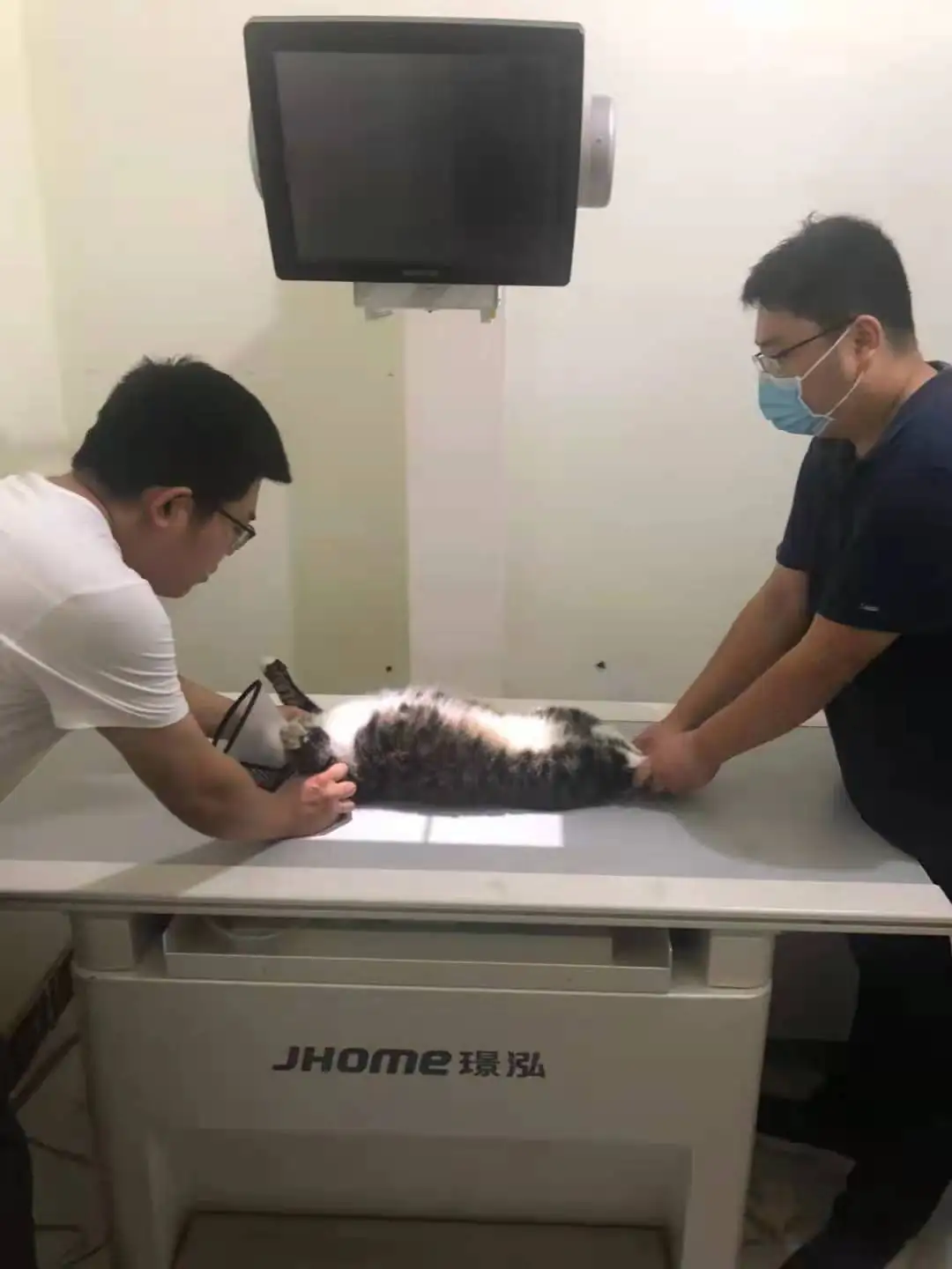 Digital flat panel detector for digital x ray machine DR digital detector vet use