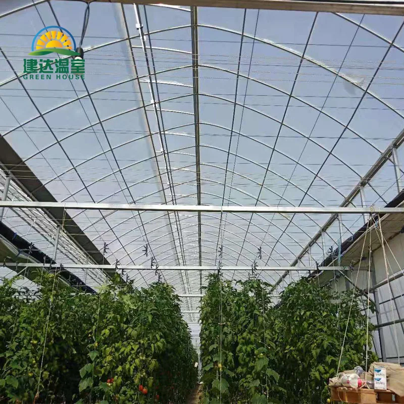 made in china SUNSGH greenhouse low price Multi-Span Agricultural PO film greenhouse china green house