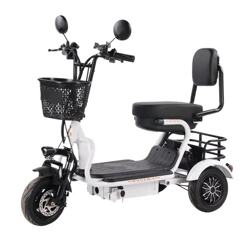 Wholesale Price 500W 48V 20Ah 10 Inch Cargo Electric Bike Sccoter 3 Wheel For Adults electric tricycle