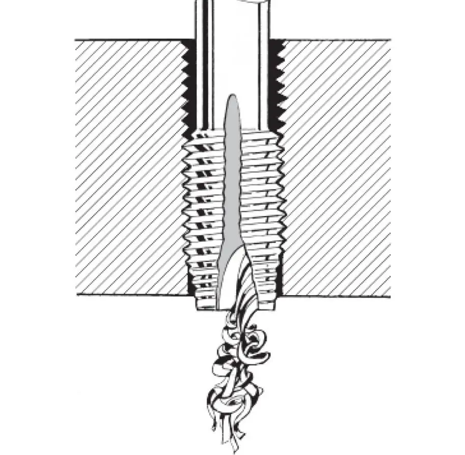 hsse (4).jpg