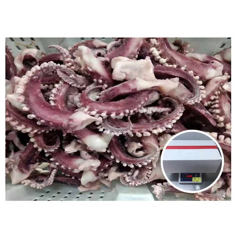 Морепродукты очистить трубкой режущей poulp главным промысел и щупалец для наконечник полосы щупальца гигантского кальмара крой