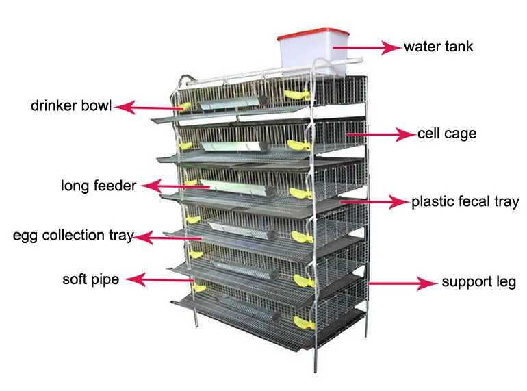 H type 6 tiers 288 capacity quail cage with drinking feeding system wire mesh cage galvanized quail cage