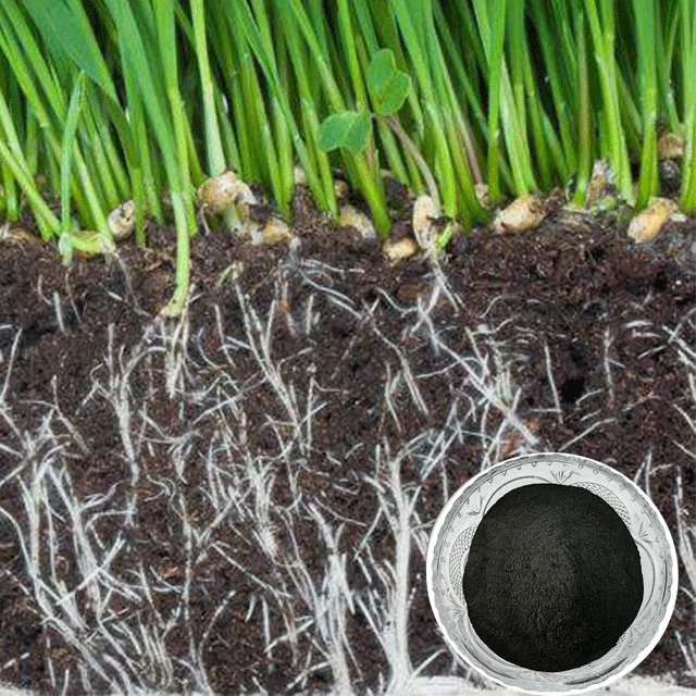 Ningxia Humate premium quality humic acid potassium humate plant agricultural chemical fertilizer