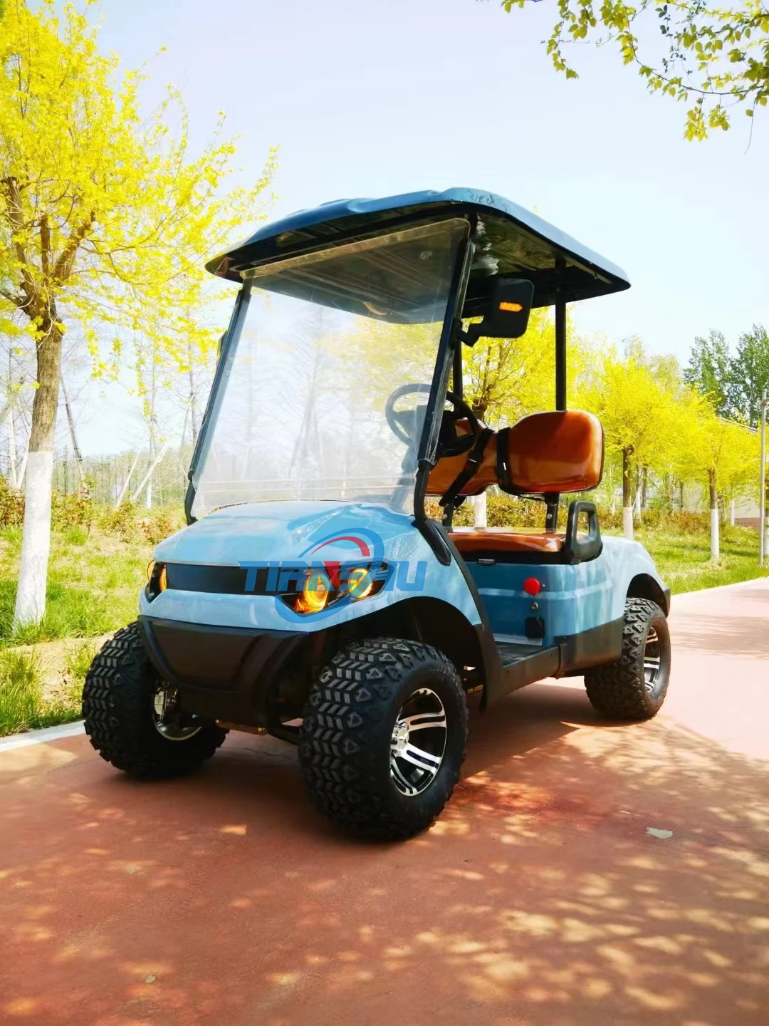 Tianshu Ce Gasoline golf cart with Oil Cooler 2 seat Gas 300CC Oil Cooler Steel Free custom logo 15L Fuel tank capacity