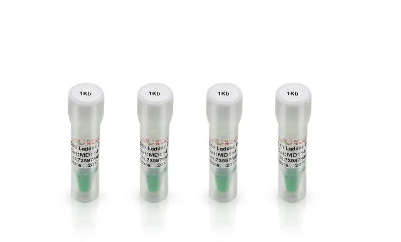 High Grade 1kb Ladder DNA marker (1000,2000,3000,4000,5000,6000,8000,10000bp)