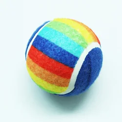 Hot Selling Thrower Balls Customsized Pattern Dog Toy Tennis Ball