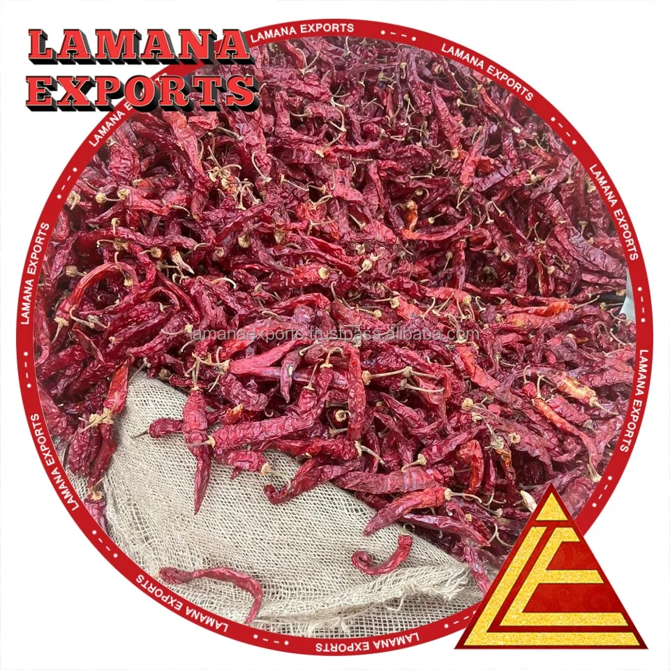 
Guntur Bright Dry Red Chilli Byadgi with Stem India Chilli Deluxe Quality 