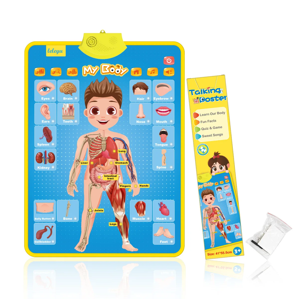 English wall chart dinosaur wall chart Talking poster for kids