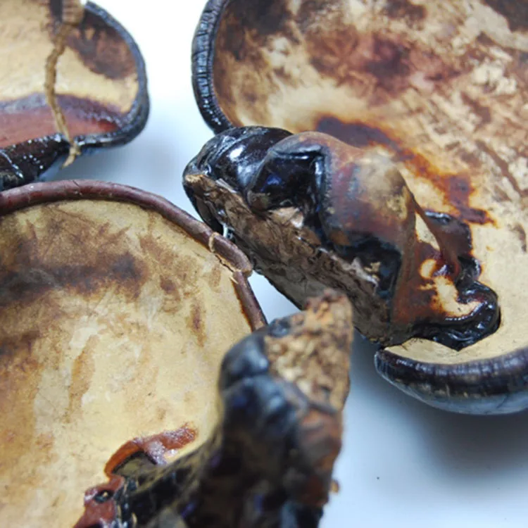 Оптовая продажа сушеные Ganoderma Lucidum поставщик/Органические