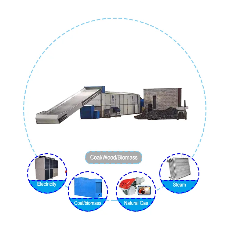 Industrial Onion Agricultural Dryer Machine Rosehip Dehydrator