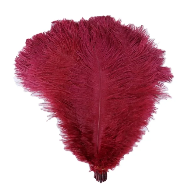 FH213 Small Size Decorative Dyed Ostrich Feather
