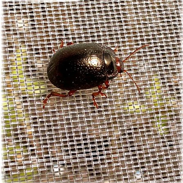 Meshel HDPE flat weave mesh 40*25 anti insect net for agriculture