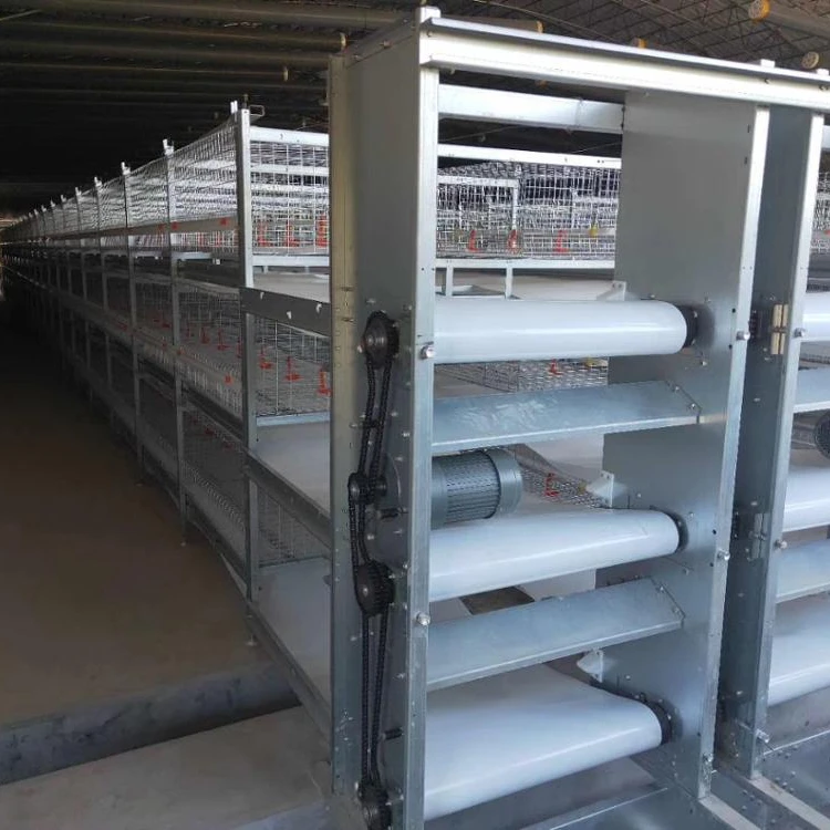 Other Animal Husbandry Equipment chicken cage with animal feeders