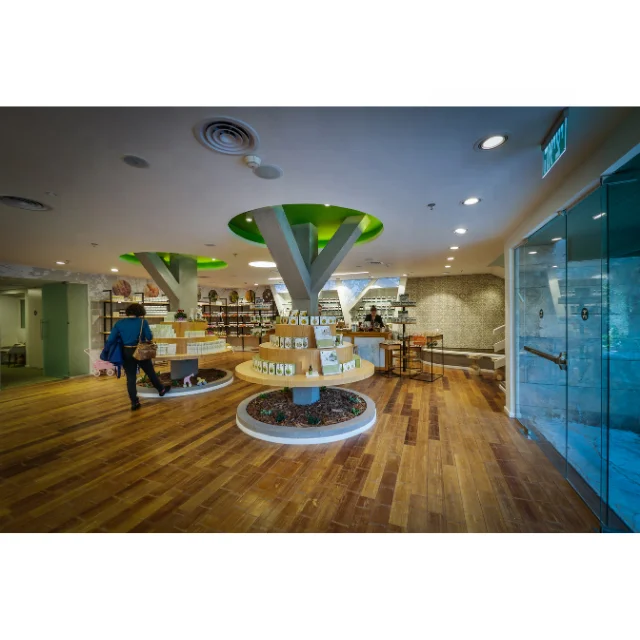 CranBiotic Cranberry Probiotic Capsule OEM for Infectious infections of the urogenital system Helicobacter Pylori