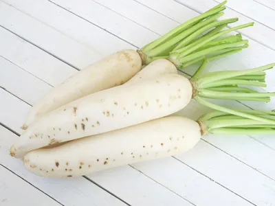 2022 new season fresh vegetable export and international certification fresh vegetable white radish
