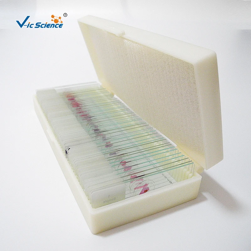 Microscope Pathology Slides Medical 50 Kinds Medical Educational Biology Teaching Slide Human Pathology Professional Slide