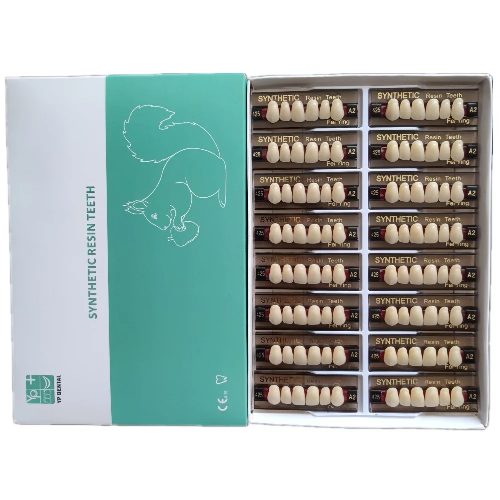 YP 2 layer upper and low Anterior posterior Teeth Artificial Acrylic Resin Artificial Acrylic Resin False Teeth 96pcs/ box