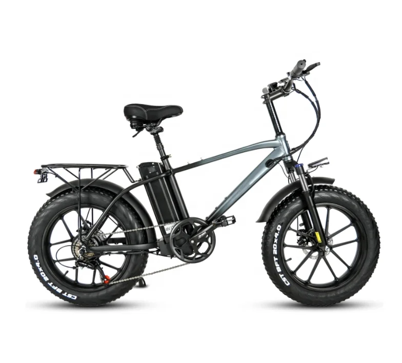 20 Inch Fat Tire 750W Motor Ebike 18Ah Lithium Battery Ebike Electric Mountain Ebike For Adult Electric Bicycle