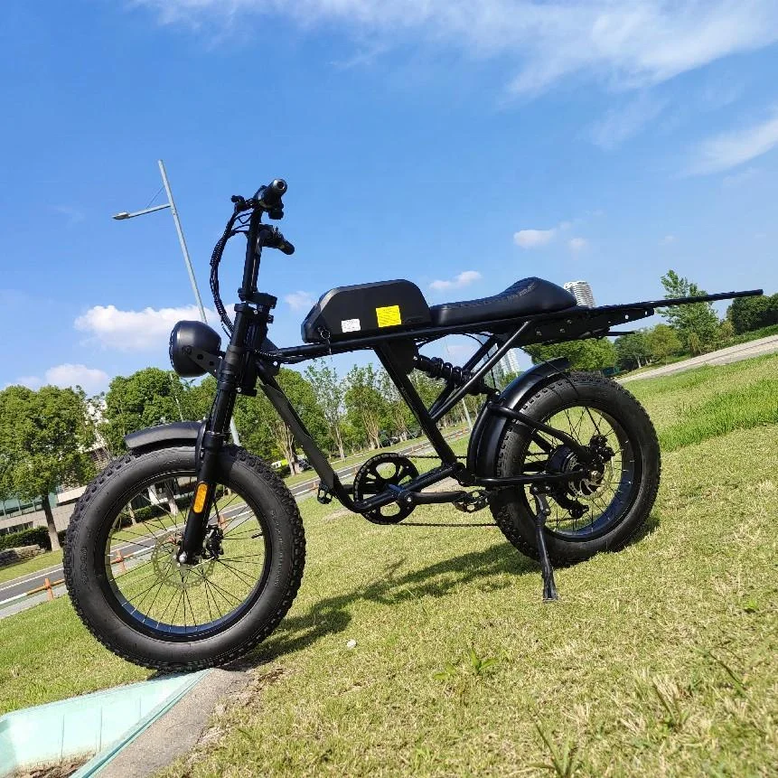 2022 Custom Ladies Mid Engin 750W E Bike Classic Cruiser Retro Style Vintage Cafe Racer Electric Bike