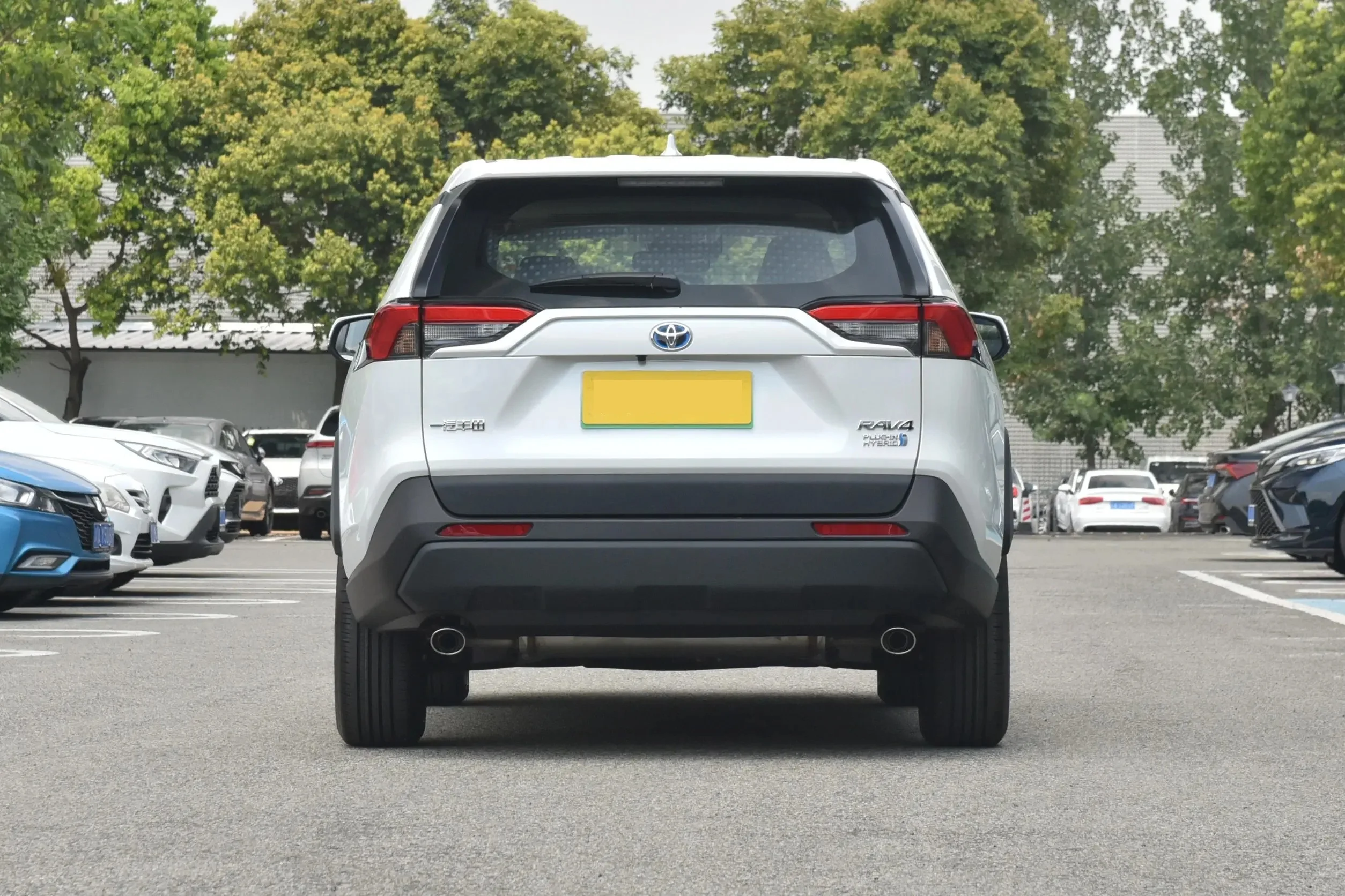 Toyota RAV4 rongfang 2024 2023 японские гибридные автомобили удобный семейный внедорожник