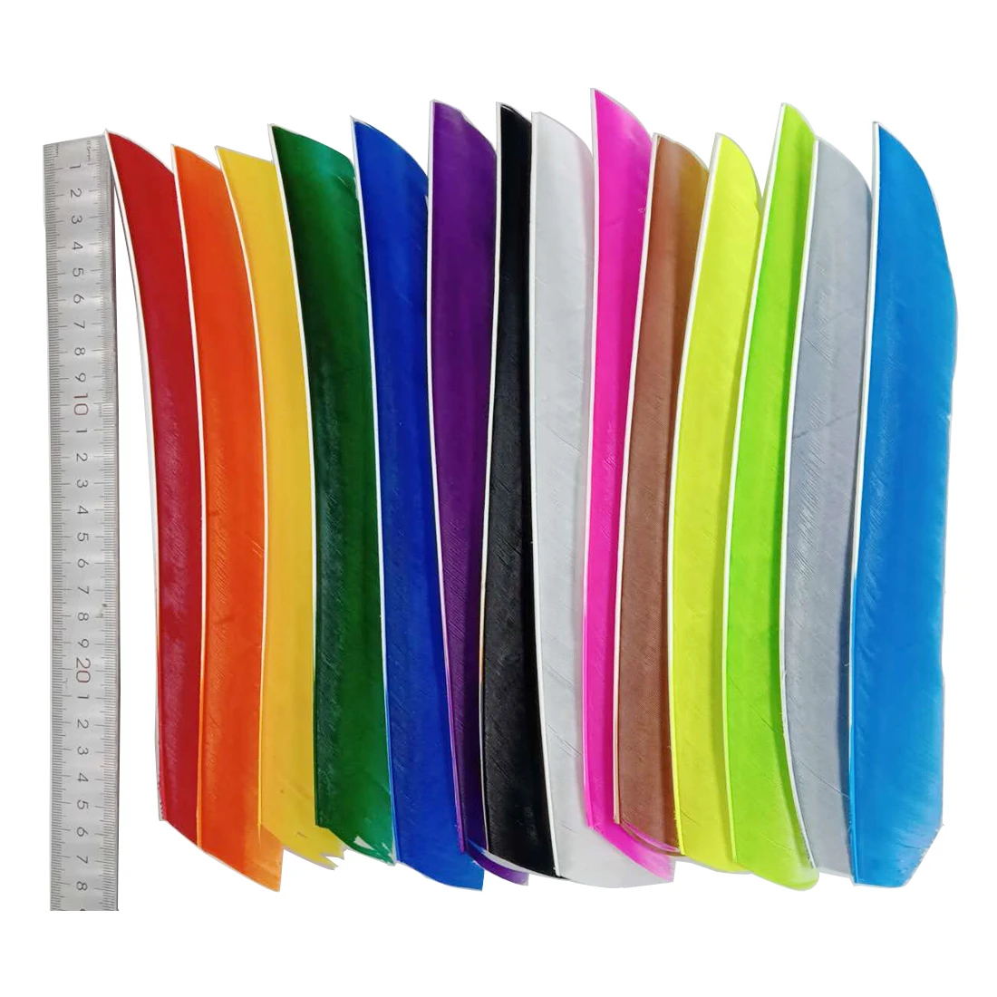 Full length Real Turkey Feather Fletching Arrow Feathers for Archery Hunting and Shooting Arrow Feather DIY