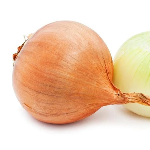 Yellow onion seeds four season vegetable seeds SXO No.5