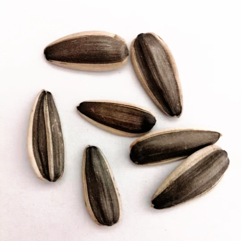 
2021 Export Grade Raw high top chinese inner mongolia original taste sunflower seeds363 361 601 red date 