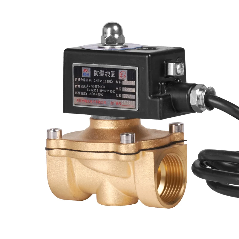 AC220V DN20 DN25 латунный электромагнитный клапан высокого качества взрывозащищенный нормально закрытый водяной