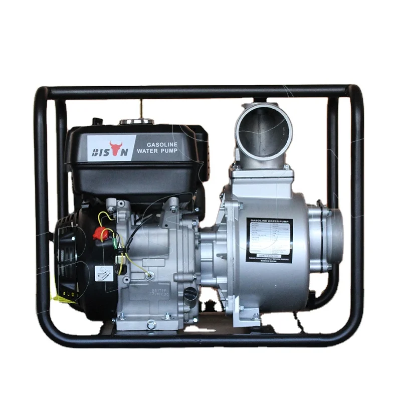 Bison China Portable Petrol Powered Machine 6.5Hp WP20 2inch WP30 3inch Gasoline Water Pump