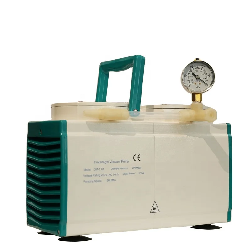 Lab Mini and Electric Vacuum Pump with 15L 20L 30L 60L 120L per Minute for Testing Equipment