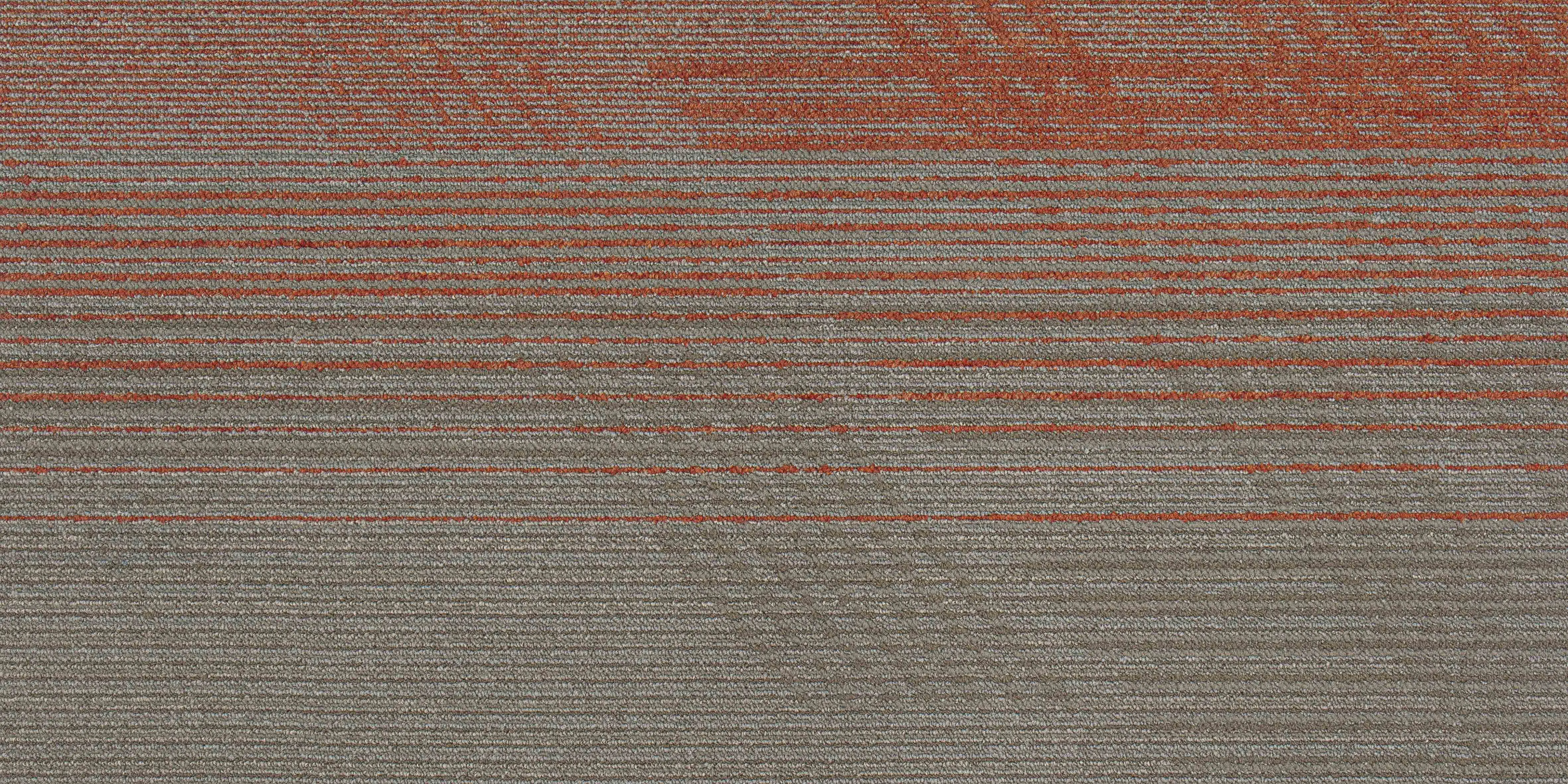 50*100cm Best Design Square Carpet Tile Floor Carpet Tile For Commerical and Residential Use 6.5mm thk