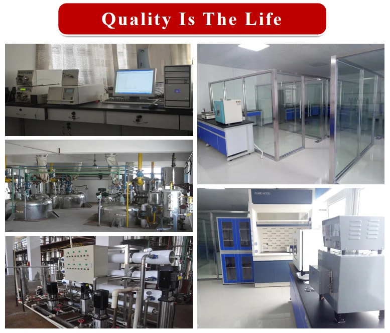 Free sample powdered natural seasoning wasabi powder high quality freeze dried wasabi powder