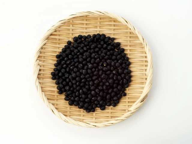 Rich in fiber cholesterol free kidney vegetable protein black beans